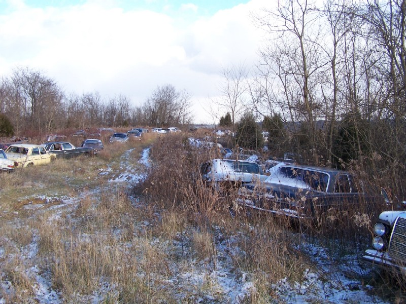 Illustration for article titled Over 1,000 Vintage Mercedes-Benzes Await The Cruel Jaws Of The Crusher In Kentucky